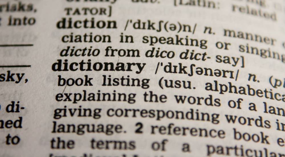 the word dictionary in a dictionary
